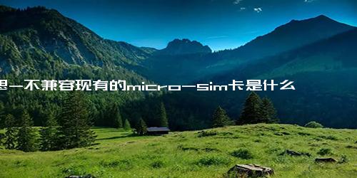 意思-不兼容现有的micro-sim卡是什么意思