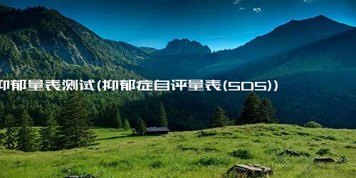 抑郁量表测试(抑郁症自评量表(SDS))