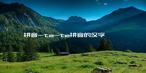 拼音-te-te拼音的汉字