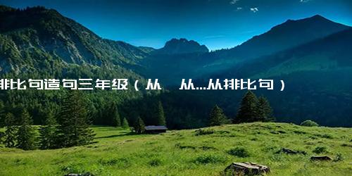 排比句造句三年级（从…从...从排比句）