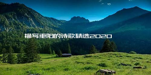 描写重阳的诗歌精选2020