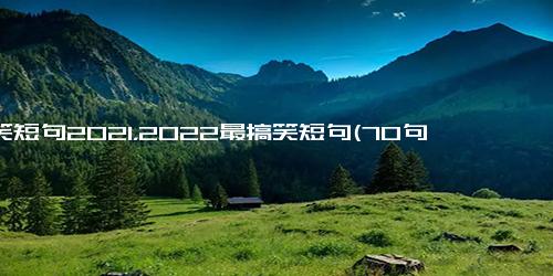 搞笑短句2021，2022最搞笑短句(70句)