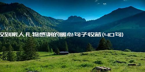 收到家人礼物感谢的暖心句子收藏(40句)