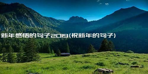 新年感悟的句子2019(祝新年的句子)