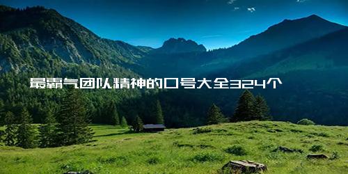 最霸气团队精神的口号大全324个