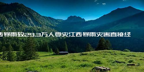 江西暴雨致29.3万人受灾江西暴雨灾害直接经济损失2.3亿元-江西省-暴雨