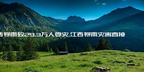 江西暴雨致29.3万人受灾，江西暴雨灾害直接经济损失2.3亿元,社会,民生