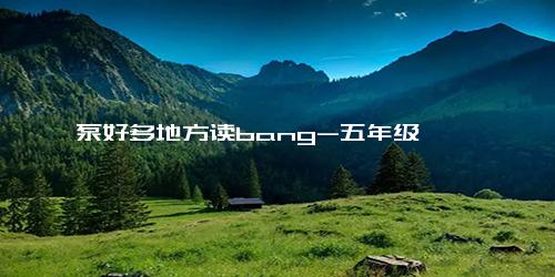 泵好多地方读bang-五年级