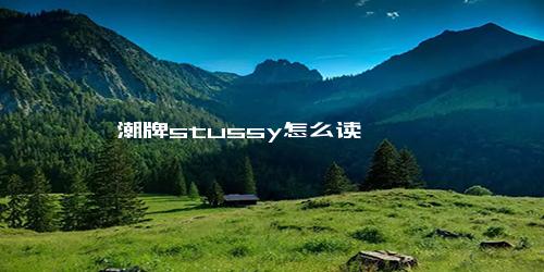 潮牌stussy怎么读