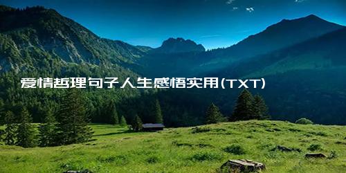 爱情哲理句子人生感悟实用(TXT)