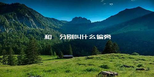 礻和衤分别叫什么偏旁