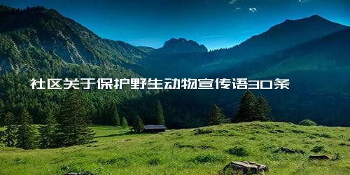 社区关于保护野生动物宣传语30条