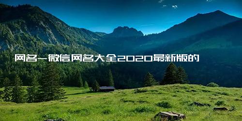 网名-微信网名大全2020最新版的