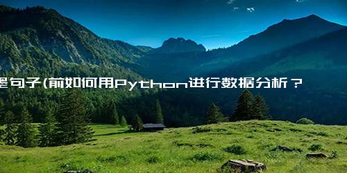 落墨句子(前如何用Python进行数据分析？Python数据分析指南)