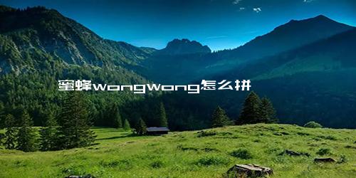 蜜蜂wongwong怎么拼