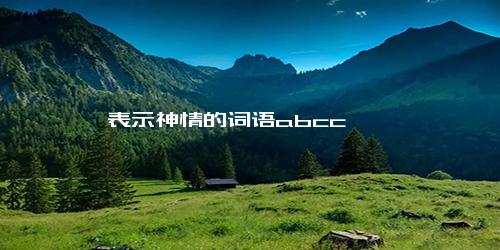 表示神情的词语abcc