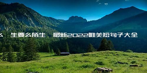 要么一生要么陌生,最新2022唯美短句子大全