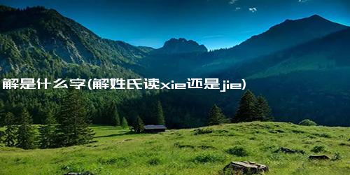 解是什么字(解姓氏读xie还是jie)