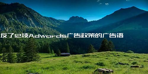 违反了12项Adwords广告政策的广告语