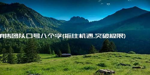 销售团队口号八个字(抓住机遇，突破极限)