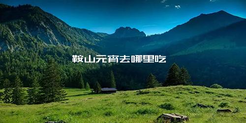 鞍山元宵去哪里吃