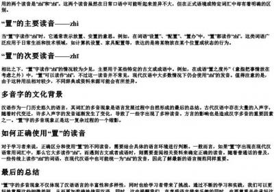 置有几个读音.docx免费下载(word版可打印)