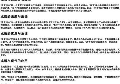 注玄尚白是什么意思.docx免费下载(word版可打印)