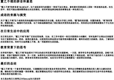 置之不理的拼音和意思.docx免费下载(word版可打印)