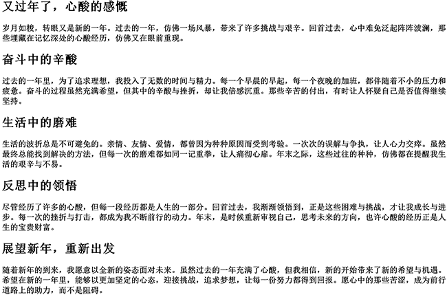 又过年了的感慨（致自己一年的心酸的句子）